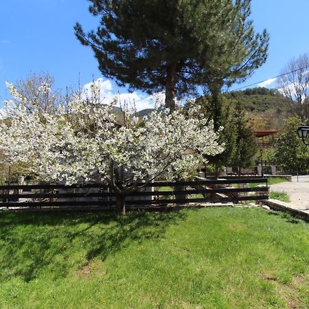 Family'S Houses Kalavryta Bagian luar foto